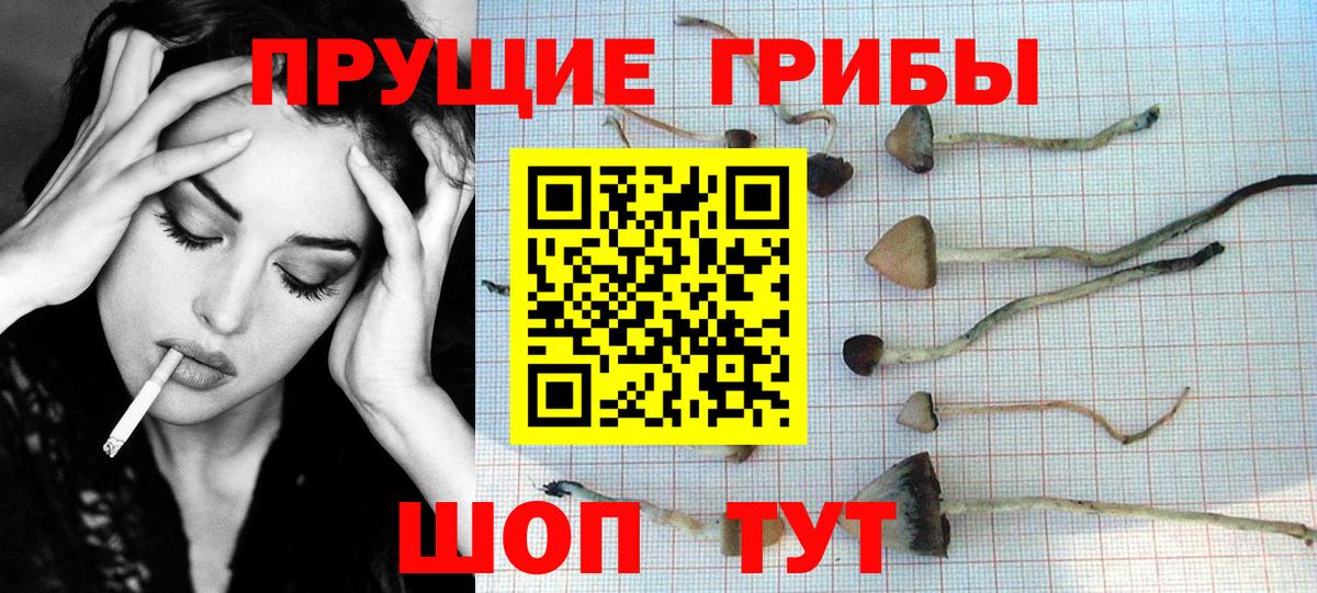 Галлюциногенные грибы прущие грибы Вичуга